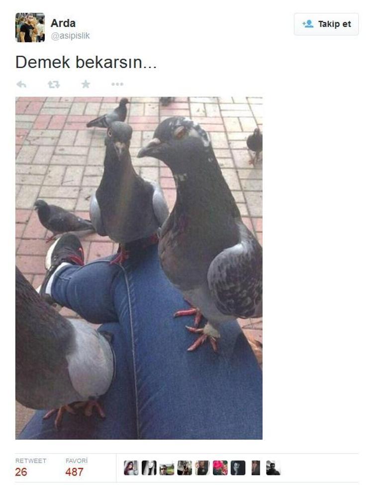 Sosyal medyanın komik akımları