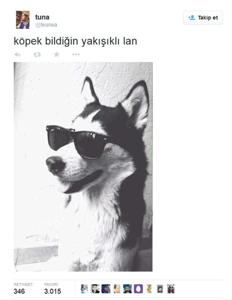 Sosyal medyanın komik akımları