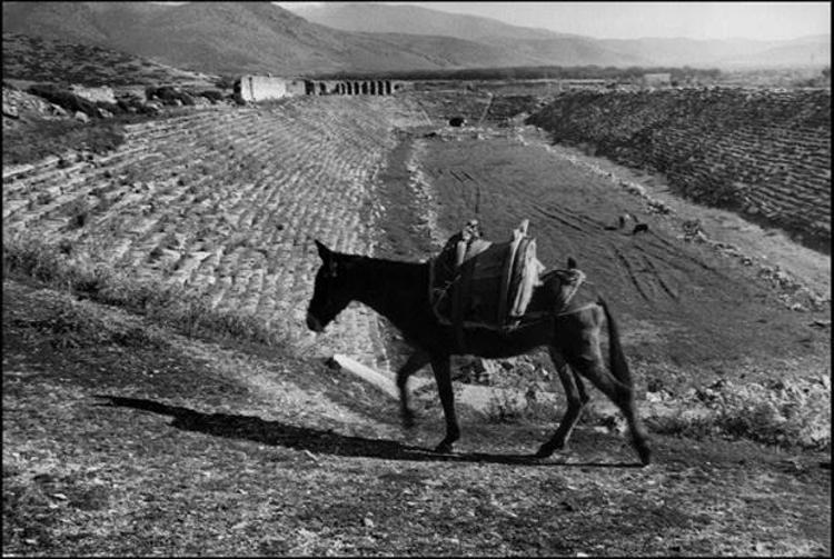 Ara Güler Aphrodisiası nasıl keşfetti