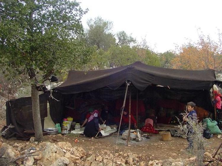 Hayatta kalmayı başarabilen ilginç kabileler