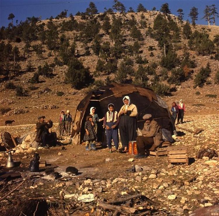 Hayatta kalmayı başarabilen ilginç kabileler