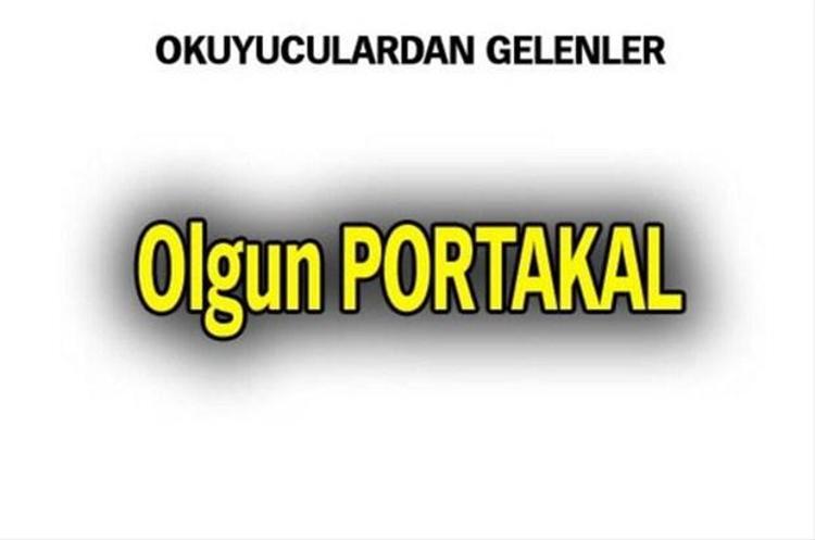 En ilginç soyadları