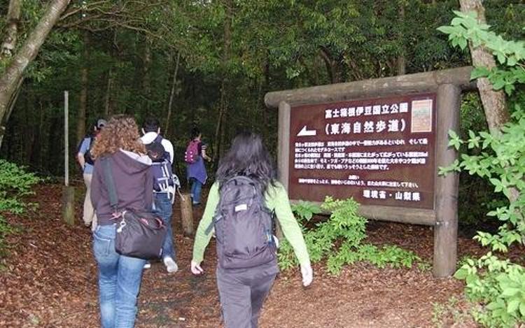 İntihar ormanı Aokigahara (+18)