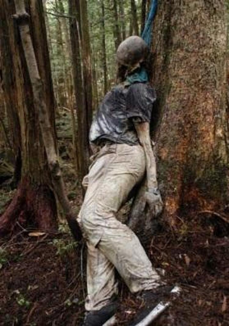 İntihar ormanı Aokigahara (+18)
