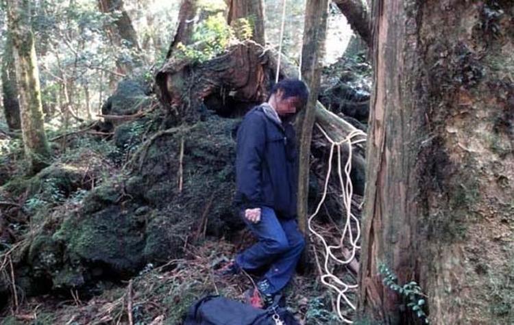 İntihar ormanı Aokigahara (+18)