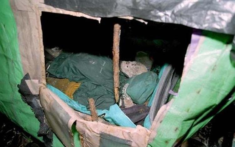 İntihar ormanı Aokigahara (+18)