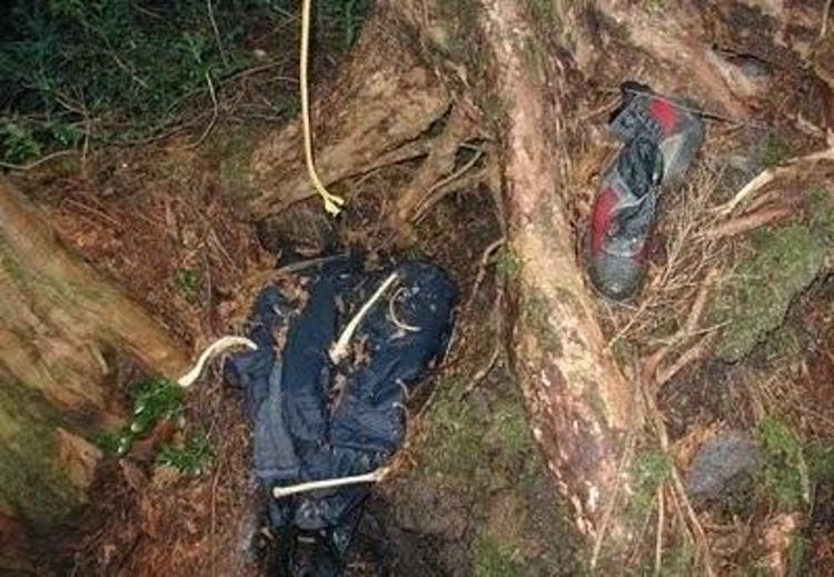 İntihar ormanı Aokigahara (+18)