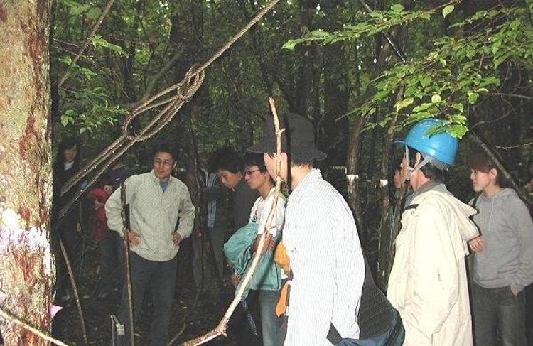 İntihar ormanı Aokigahara (+18)