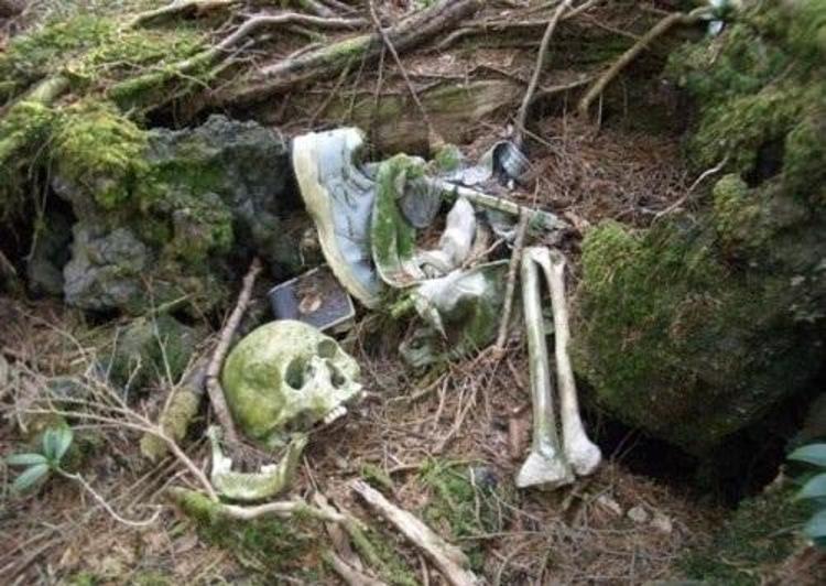 İntihar ormanı Aokigahara (+18)