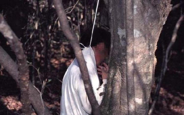 İntihar ormanı Aokigahara (+18)