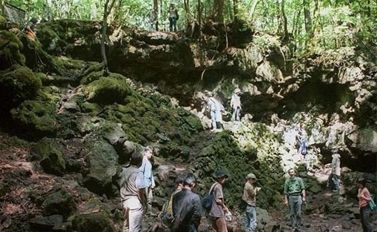 İntihar ormanı Aokigahara (+18)