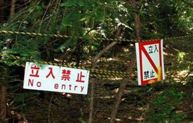 İntihar ormanı Aokigahara (+18)