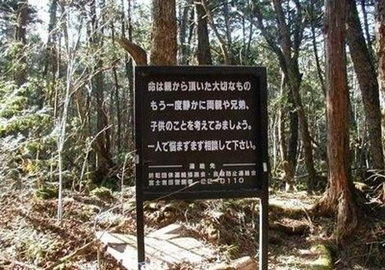 İntihar ormanı Aokigahara (+18)