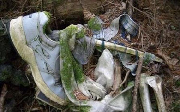 İntihar ormanı Aokigahara (+18)