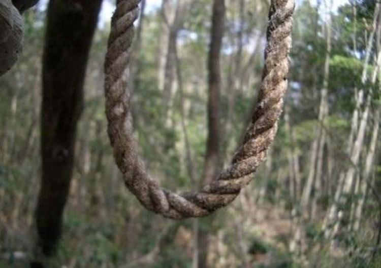 İntihar ormanı Aokigahara (+18)