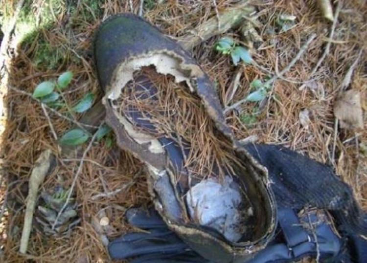 İntihar ormanı Aokigahara (+18)