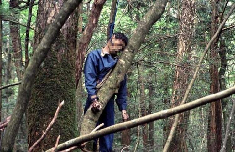 İntihar ormanı Aokigahara (+18)