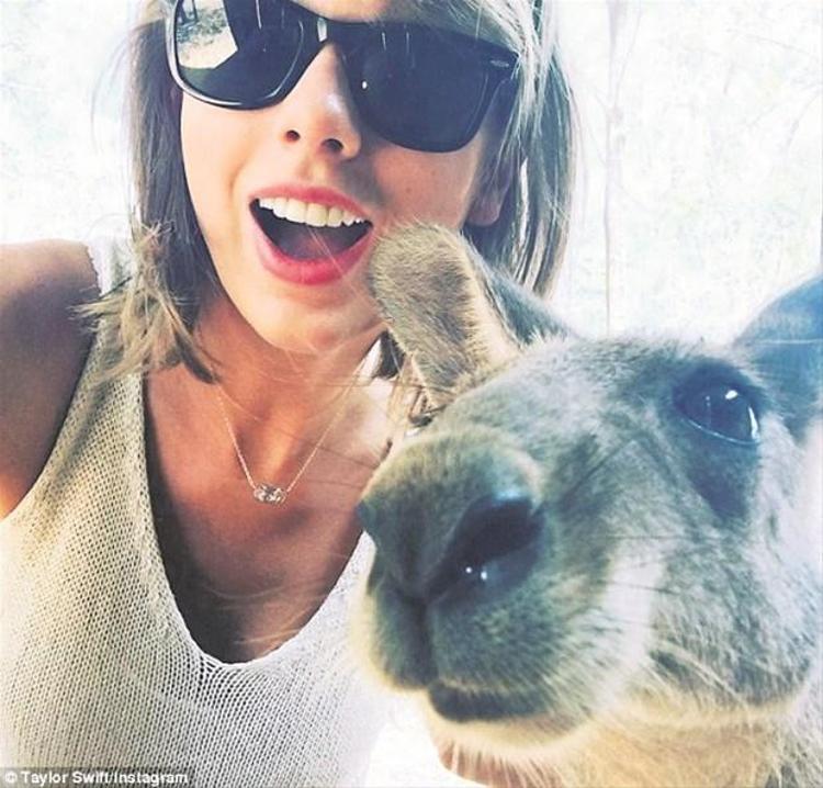 Taylor Swift