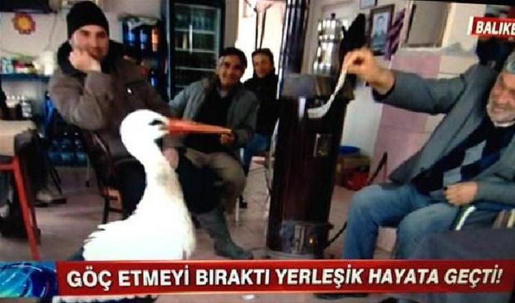 Televizyonda yaşanmış komik olaylar