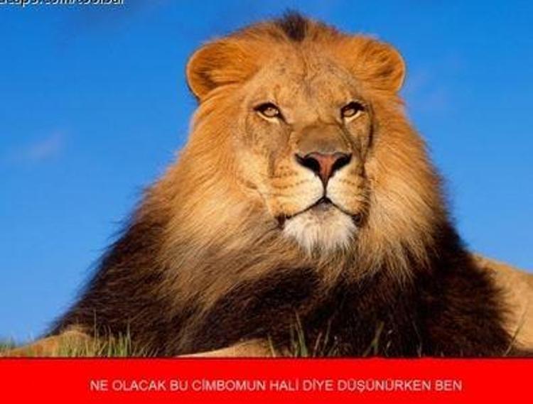 Fener şampiyon oldu, caps´ler çıldırdı
