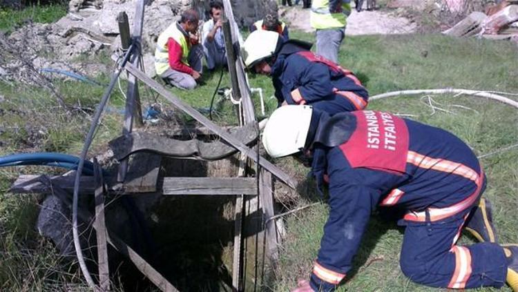 İstanbul Pamir Dikdik´i arıyor