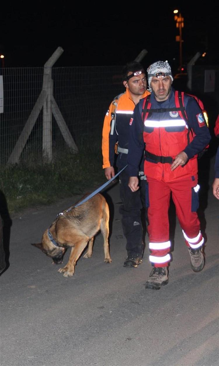 İstanbul Pamir Dikdik´i arıyor