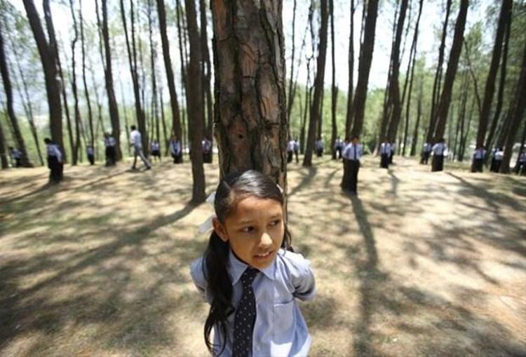 dakika boyunca ağaca sarılan en kalabalık çocuk topluluğu Kathmandu´dan