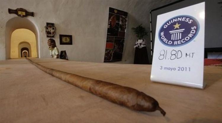 Karşınızda dünyanın en büyük sigarası. Tam 81.8 metre.