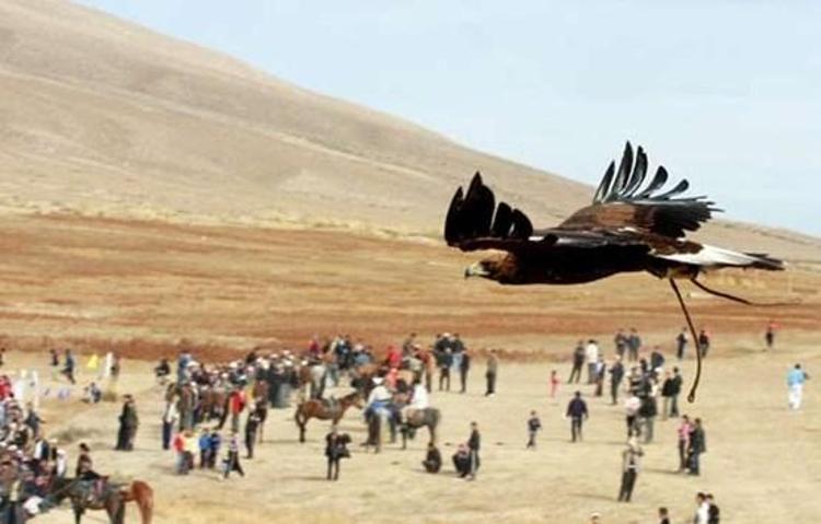 Kartalın vahşi avı böyle görüntülendi