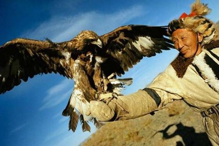 Kartalın vahşi avı böyle görüntülendi