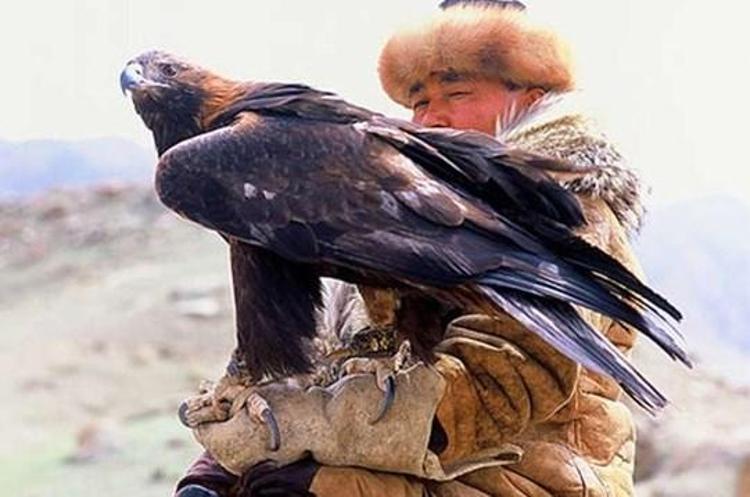 Kartalın vahşi avı böyle görüntülendi