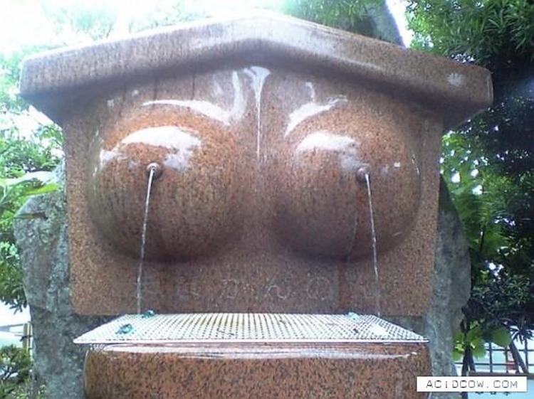 Komik ve seksi fotoğraflar