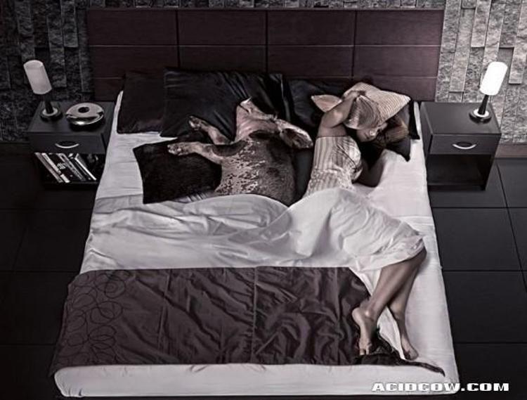 Komik ve seksi fotoğraflar