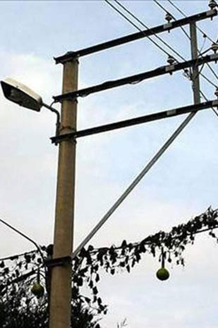 Elektriğe kapıldığını sanınca