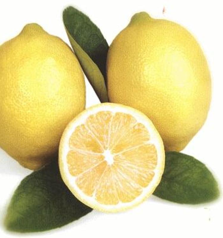 Limon: Yemeklerde kullanılan limon tuzu ve limon suyu, seks gücünün artmasında olumlu etki yapmaktadır...