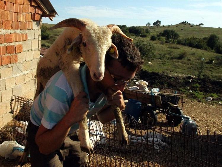 Kurban Bayramı yasakları belli oldu Tek tek açıklandı 15 gün...
