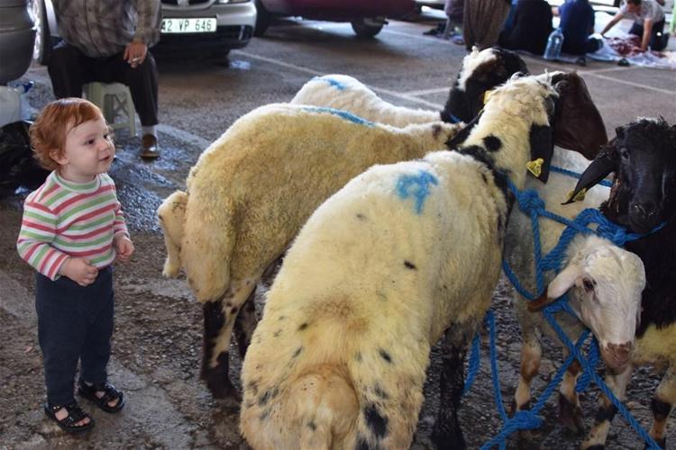 Kurban Bayramı yasakları belli oldu Tek tek açıklandı 15 gün...