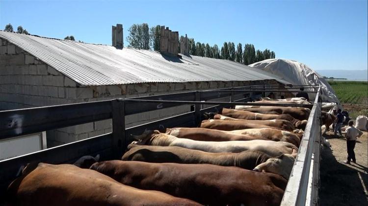 Kurban Bayramı yasakları belli oldu Tek tek açıklandı 15 gün...