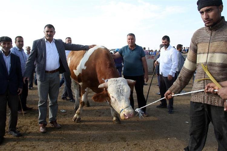 Kovid-19 tedbirleri