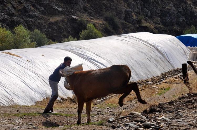Kurbanlık hayvan sevkleri ile ilgili alınacak önlemler