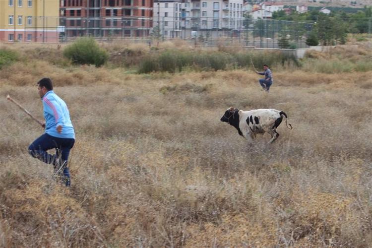 Kurban Bayramı yasakları belli oldu Tek tek açıklandı 15 gün...