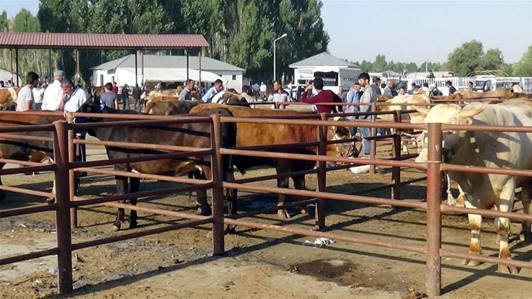 Kurban Bayramı yasakları belli oldu Tek tek açıklandı 15 gün...