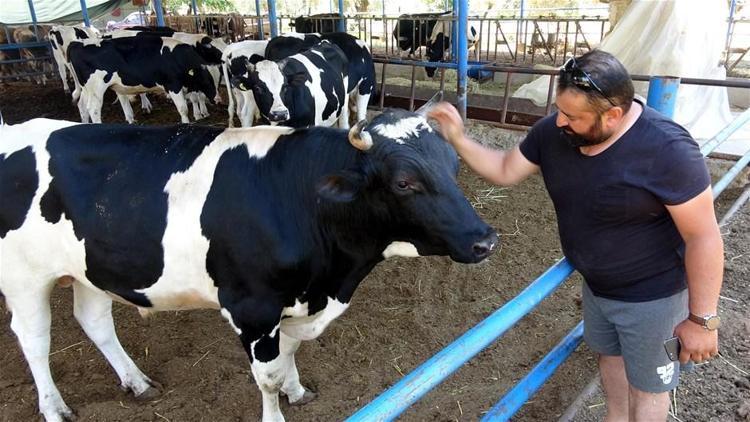 Kurban Bayramı yasakları belli oldu Tek tek açıklandı 15 gün...