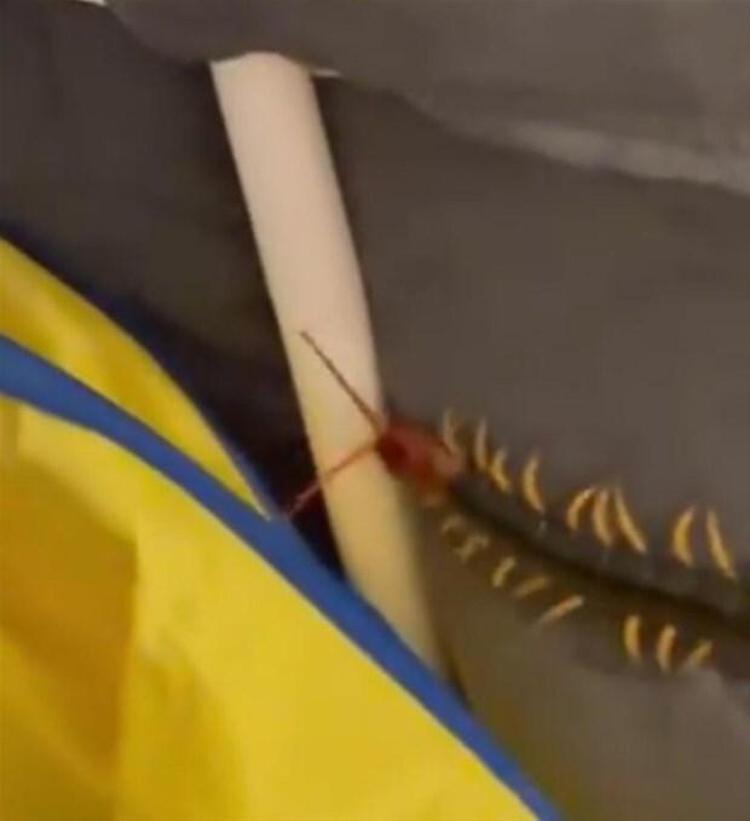 Girdiği yeri bulan baba, oraları hemen kapattığını hatta mühürlediğini yazdı. Yaşadığı bu korkunç deneyimle beraber eyaletten taşınmak istediğini de yazdı. Bu videoya da binlerce yorum geldi. Bazıları, ‘ben olsaydım polisi arardım’ derken, bazılarıysa ‘o evden koşarak uzaklaşırdım’ diyerek korkunç anlar hakkında yorum yaptı.