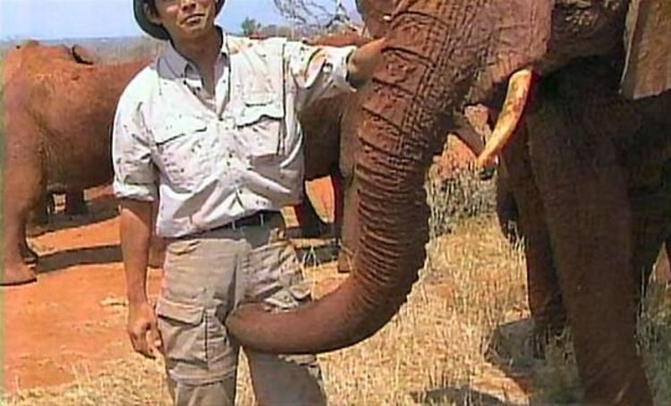 Huge Elephant Dick