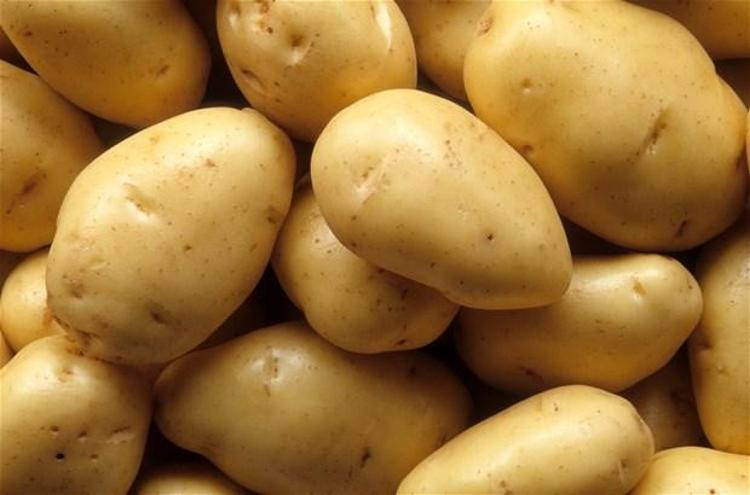 PATATES