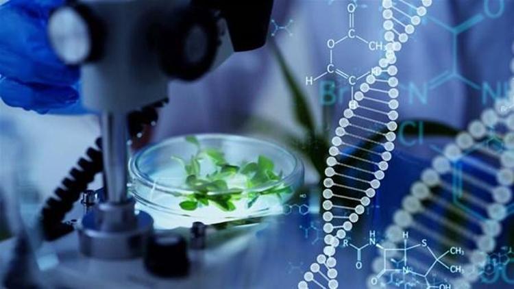 Çalışmayı yöneten Prof. Dr. Carlo Leifert, idrar örneklerinde buldukları tarım ilaçlarının birçoğunun vücuttaki hormonları etkilediğinin bilindiğini söyledi.