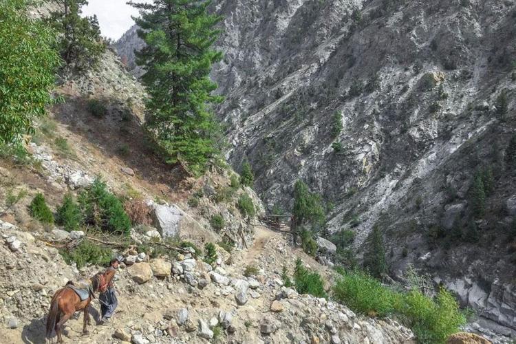 Yer çekimine meydan okuyorlar İşte ürkütücü güzellikleriyle dünyanın en tehlikeli yerleri...