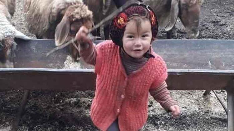 CESEDİNİ KADIN ÇOBAN BULDU