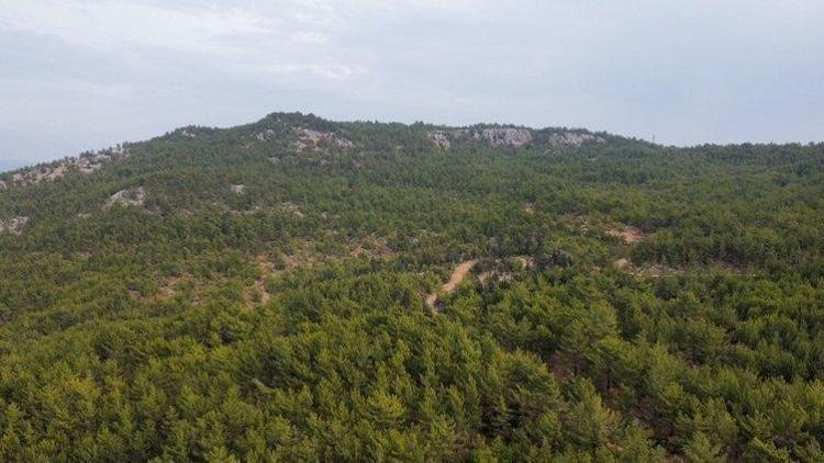 Müslümenin ölümüne ilişkin mide bulandıran detaylar Müslümenin boynundaki iz ele verdi İstismar, tehdit her şey var